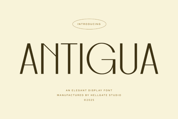 Antigua Elegant Font: A Typeface for Timeless Visual Impact